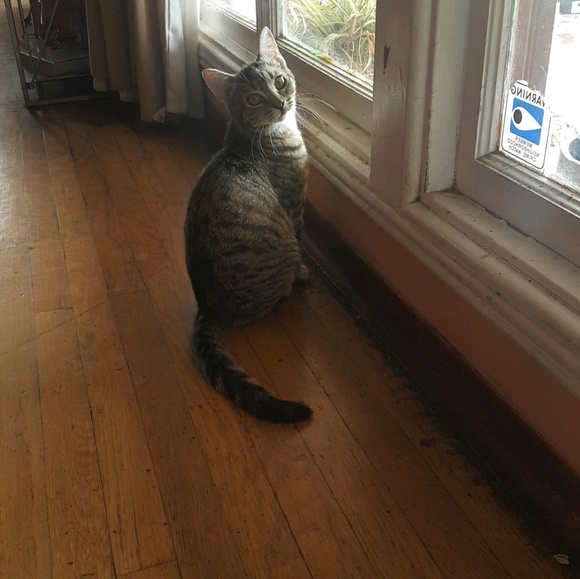 Profile Picture of Yesenia Valladares (@yessiv1987) on Poshmark