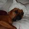 Profile Picture of Ginger Riggs (@ginger.riggs.547) on Facebook