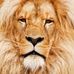 Profile Picture of Waseem Akram Qureshi (@waseemakram.qureshi.1) on Facebook