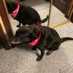 Profile Picture of Karen Frenier KF (@Karen-Frenier-KF) on Facebook