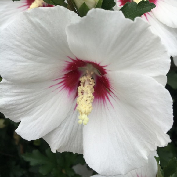 Kim Myland - Poshmark Profile Picture of Kim Myland (@kimkim51) on Poshmark