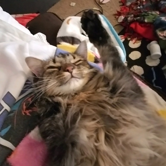 Profile Picture of Shea Walker (@sheaw182) on Poshmark