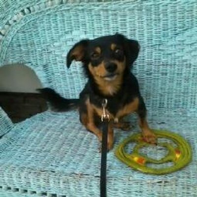 Profile Picture of Pat Frazier (@iafs1231) on Twitter