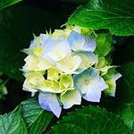 Profile Picture of Champa Patel (@champa.patel.549668) on Instagram
