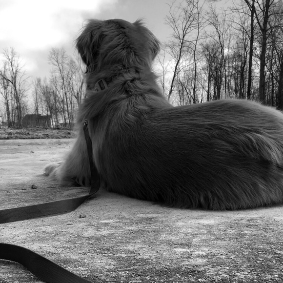 Profile Picture of Malana Pashea (@malanaa61) on Poshmark