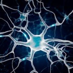 Profile Picture of Sonja Colapinto De Weligonoff (@sonjacol) on Twitter