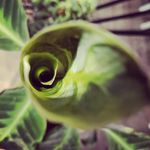 Profile Picture of David Sonenberg (@newjunglejersey) on Instagram