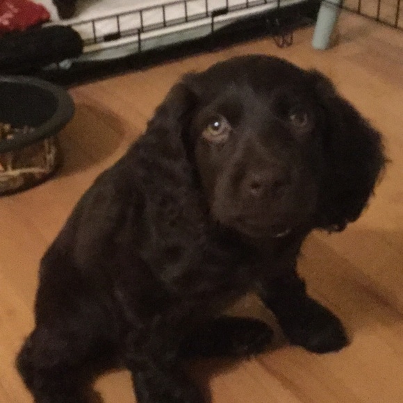 Profile Picture of Regan Hobkirk (@reghobkirk) on Poshmark