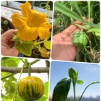 Profile Picture of Louise Read (@Louise-Read) on Facebook