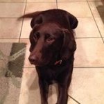 Profile Picture of Brad Berens (@bradberens1967) on Instagram