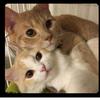 Profile Picture of peggymannix (@@peggymannix) on Tiktok
