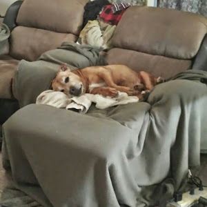 Profile Picture of kitmartin83 (@kitmartin83) on Tiktok