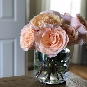 Profile Picture of Stephanie Pappas (@slpappas444) on Pinterest