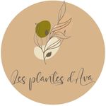 Profile Picture of Les plantes d’Ava (@les_plantes_dava) on Instagram
