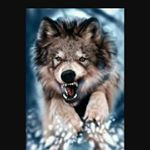 Profile Picture of EJ Ortiz (@ejkillsitatbmxing) on Instagram