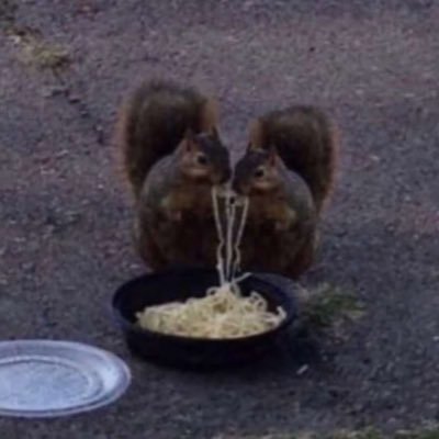 Profile Picture of Angelica (@a_michals13) on Twitter