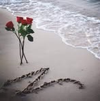 Profile Picture of Naglaa Zakaria (@naglaa.zakaria.425750) on Facebook