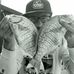 Profile Picture of Daniel Woehrle (@stenzskull) on Facebook