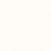 Profile Picture of Ramine (@ramine_59115) on Youtube