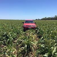 Profile Picture of Wayne Muller (@wayne-muller-11) on Quora