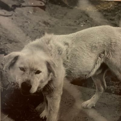 Profile Picture of Jose Ruvalcaba (@Joe711e) on Twitter