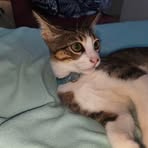 Profile Picture of Thomas Bayona (@thomas.bayona.357) on Facebook