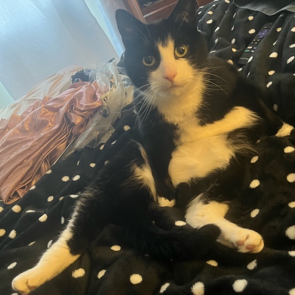 Profile Picture of Alisha Norry (@sunshyne2109) on Poshmark