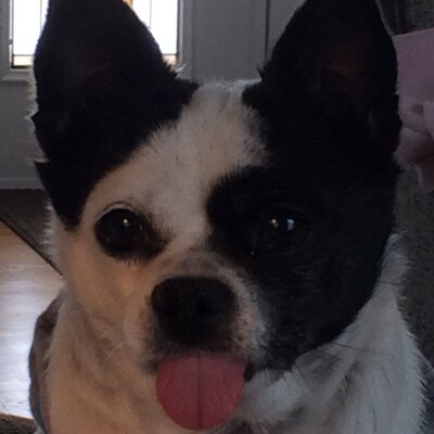 Profile Picture of Bob Notley (@joebert1212) on Twitter