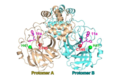 Profile Picture of 3C-like proteaseon Wikipedia