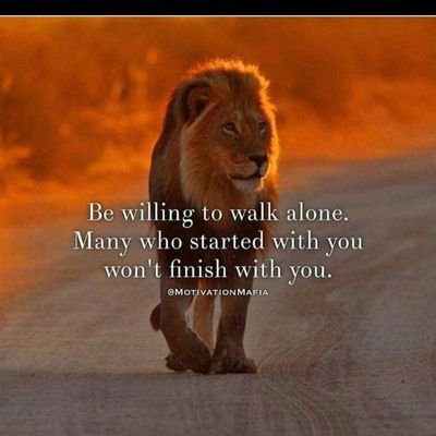 Profile Picture of Jeff  Ensey (@JQNZ1969) on Twitter