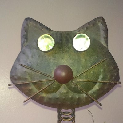 Profile Picture of Matthias Pressler (@MatthewPressler) on Twitter