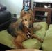 Profile Picture of Greg Imhoff (@Greg-Imhoff) on Facebook