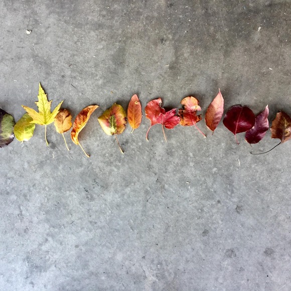 Profile Picture of Brittany Eidsness (@beidsness) on Poshmark