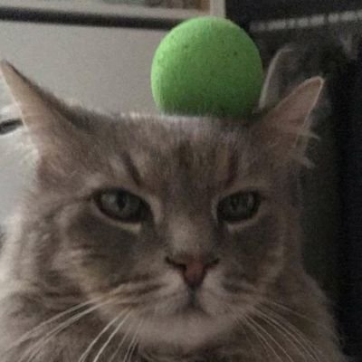 Profile Picture of Paul Peretti (@PaulPeretti) on Twitter