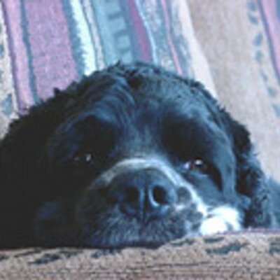 Profile Picture of Bill Spaulding (@AirmailTen) on Twitter