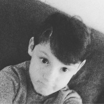 Profile Picture of Matthew McAleese (@MatthewM20031) on Twitter