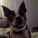 Profile Picture of Cary Matthew (@cauleymaybe) on Pinterest