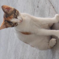 Profile Picture of Jason Henshall (@jason-henshall-3) on Quora