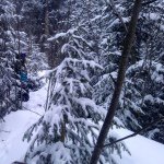 Profile Picture of Mark Grimley (@grimdog88) on Instagram