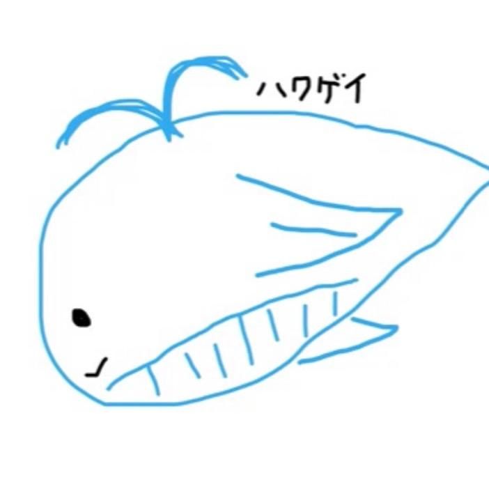 Profile Picture of ハク🌦✊ (@ayaroni_love) on Tiktok