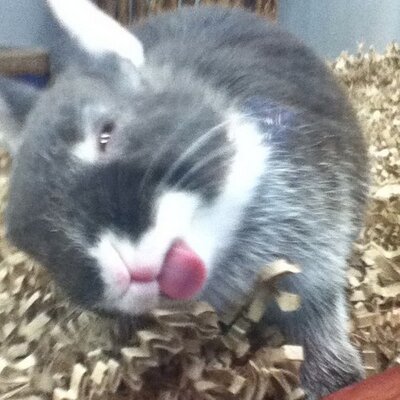 Profile Picture of Ben (@cashman8800) on Twitter