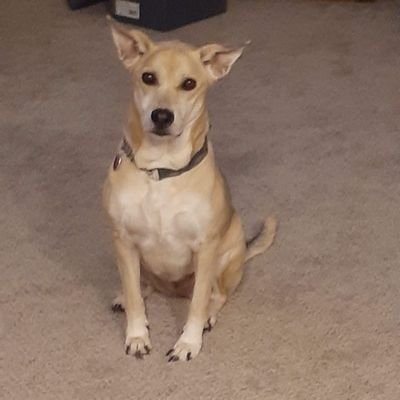 Andrew Beirne - Twitter Profile Picture of Andrew Beirne (@georgia_clay_ga) on Twitter