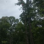 Profile Picture of Grant Ervin (@phantomx43) on Instagram