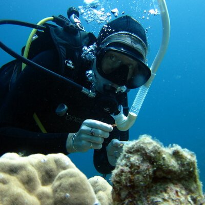 Profile Picture of Kathy Morrow (@CoralMicrobe) on Twitter