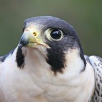 Profile Picture of James William Hudson (@james-william-hudson) on Quora