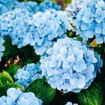 Profile Picture of Crestel Bads (@Crestel-Bads) on Facebook