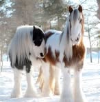 Profile Picture of Darlene Haskell (@darlene.haskell.169) on Facebook