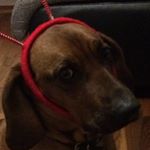 Profile Picture of davidofner08 (@davidofner08) on Instagram