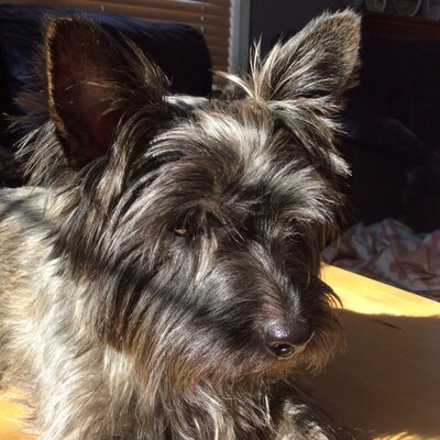 Profile Picture of Erik Lutz (@erik_lutzy) on Twitter