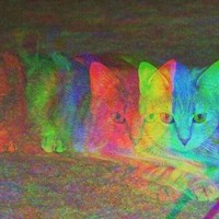 Profile Picture of Krystal Cook (@krystal-cook-3) on Quora